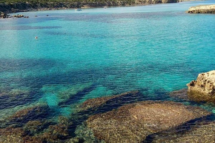 Stelios Jeep Safari: Akamas Peninsula 4x4 Adventure & Blue Lagoon Swim photo 3