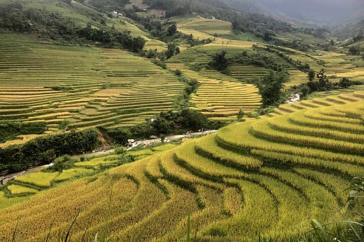 Muong Hoa Valley: 2-Day Sapa Trek with a Local Hmong Guide photo 6