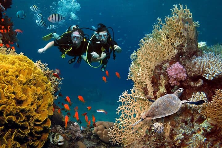 Alanya Scuba Diving: Mediterranean Sea Caves & Beginner-Friendly Dives photo 3