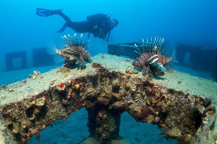 Alanya Scuba Diving: Mediterranean Sea Caves & Beginner-Friendly Dives photo 4