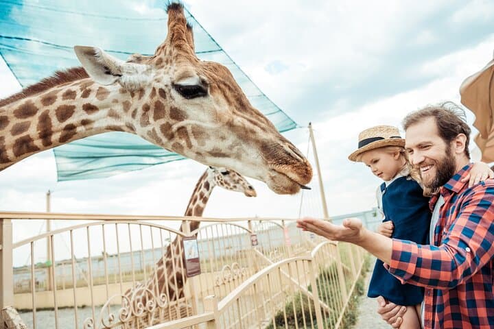 Skip-the-Line Tierpark Hellabrunn: Fast-Track Zoo Visit with Private Transfers