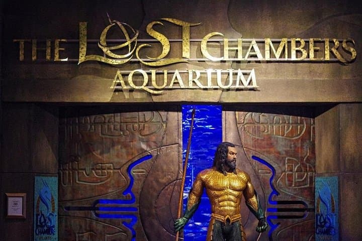Lost Chamber Aquarium Dubai: Behind-the-Scenes Marine Encounters at Atlantis The Palm photo 4