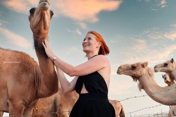 Evening Desert Safari Abu Dhabi: Dune Bashing, BBQ & Cultural Camp Experience photo 6