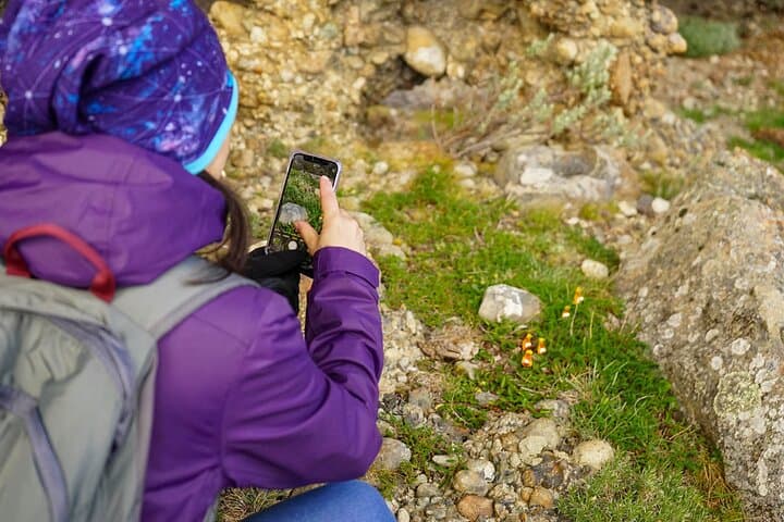 Cerro Benitez Rock Art Trek: Ancient Paintings & Fjord Views near Puerto Natales photo 4
