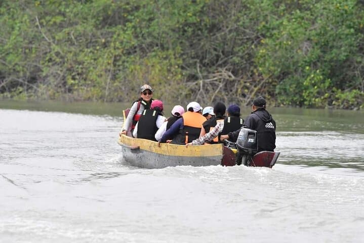 Full-Day Churute Mangroves Reserve & Cocoa Farm Tour from Guayaquil photo 2