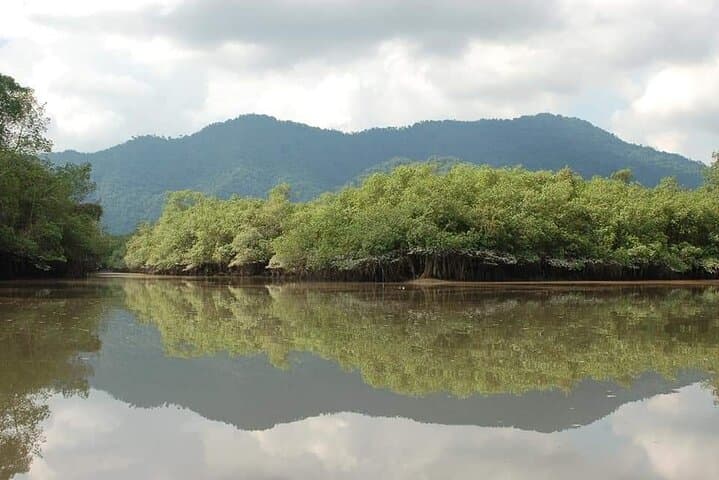Full-Day Churute Mangroves Reserve & Cocoa Farm Tour from Guayaquil photo 6