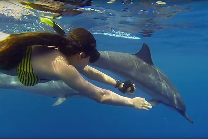 Mnemba Island Snorkeling & Dolphin Swim — Full-Day Marine Adventure photo 3