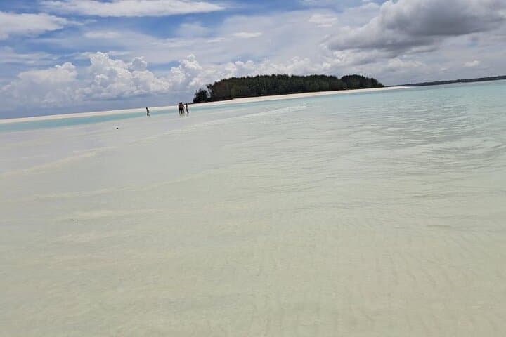 Mnemba Island Snorkeling & Dolphin Swim — Full-Day Marine Adventure photo 5