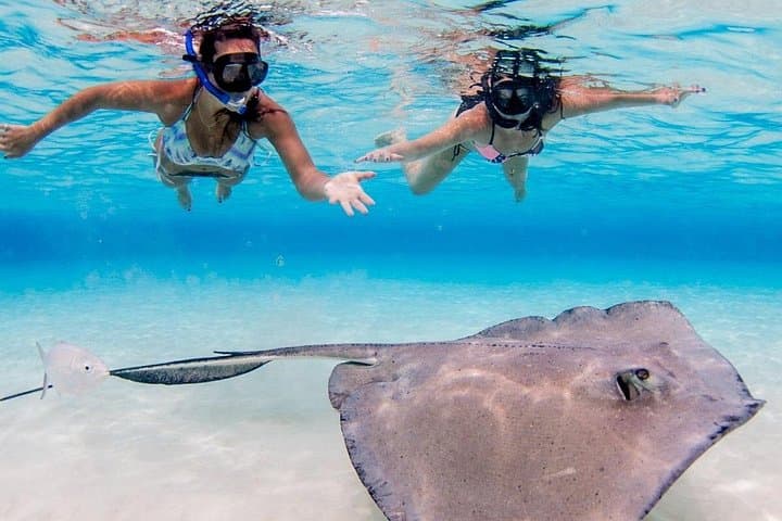 Cayman Adventure: Stingray City, Starfish Point & Coral Gardens Catamaran Tour photo 2