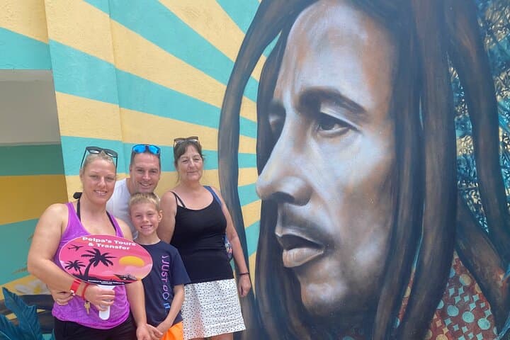 Bob Marley's Nine Mile & Luminous Lagoon: Private Day Tour from Montego Bay