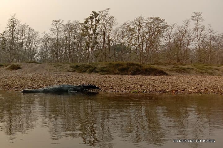 One-Day Chitwan Safari: Canoe, Jungle Walk & Afternoon Jeep Drive photo 3