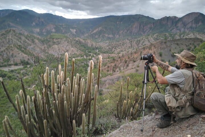 Elbow of the Andes Plant Expedition: Parajubaea, Puya raimondii & Endemic Birds