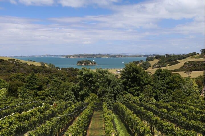 Waiheke Island 2.5-Hour Boutique Wine Tour — Postage Stamp & Mudbrick Tastings photo 2