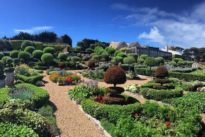 Waiheke Island Sunset Wine Tour: 3.5-Hour Vineyard & Dinner Experience photo 2