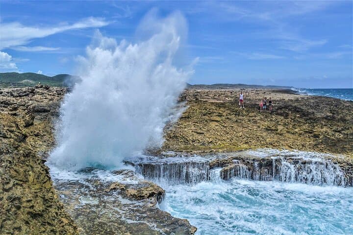 Beyond the Beaches: Private 6-Hour Curacao Coastal & Wildlife Tour photo 2