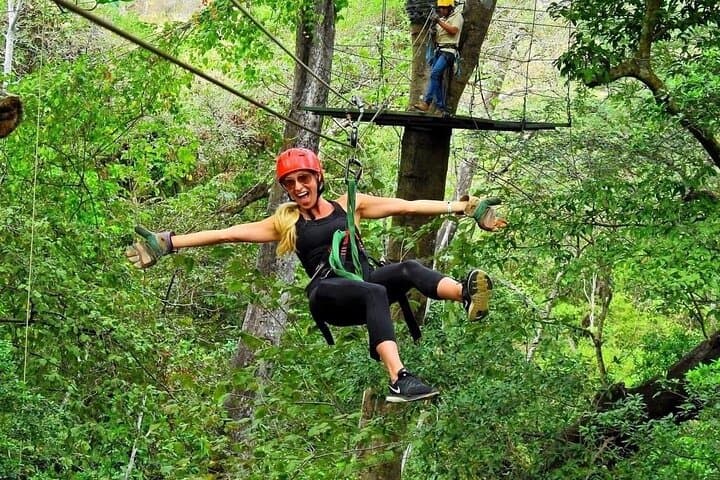 Guanacaste Zipline & Monkey Park Canopy Tour: Fly Through the Rainforest photo 2