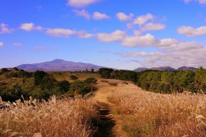 East Jeju Full-Day Taxi Tour: Manjanggul, Seongsan Ilchulbong & Local Flavors photo 2