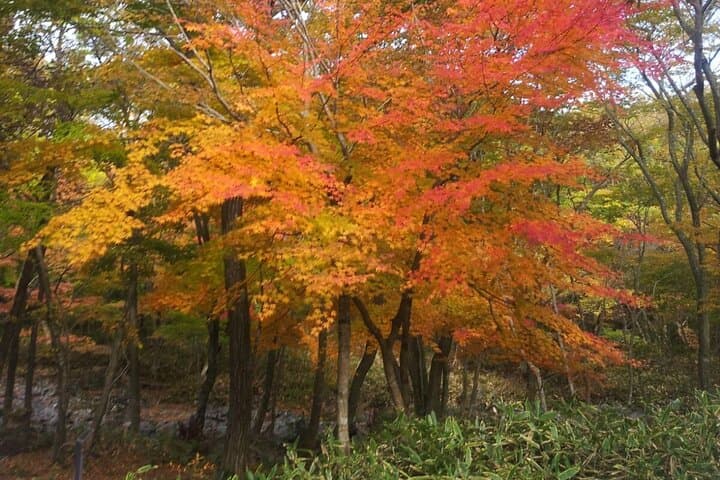 East Jeju Full-Day Taxi Tour: Manjanggul, Seongsan Ilchulbong & Local Flavors photo 3