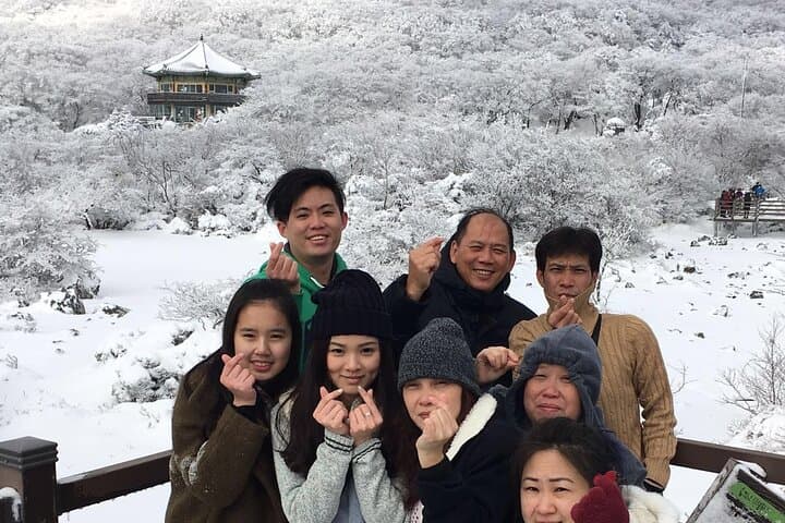East Jeju Full-Day Taxi Tour: Manjanggul, Seongsan Ilchulbong & Local Flavors photo 6