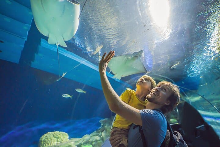 Oman Aquarium: Underwater Tunnel, Penguin Feeding & Marine Wonders in Muscat