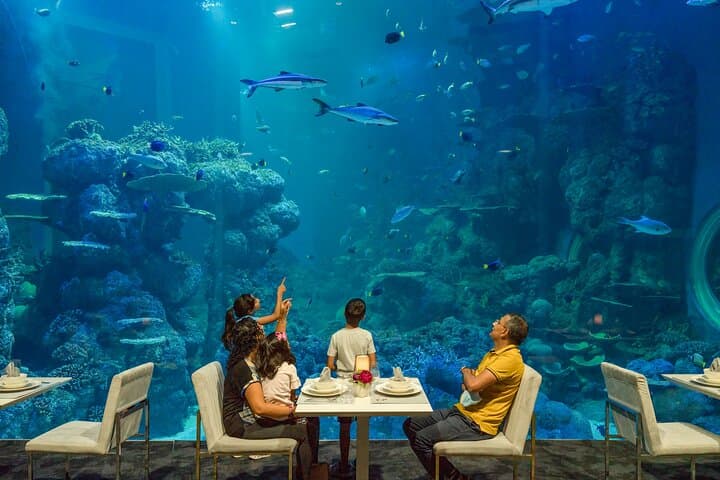 Oman Aquarium: Underwater Tunnel, Penguin Feeding & Marine Wonders in Muscat photo 6