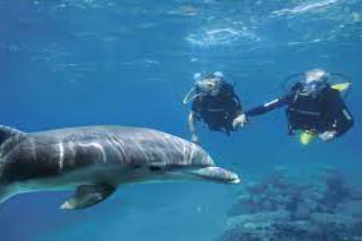 Red Sea Intro Dive from Hurghada — Boat Trip with Lunch & Transfers photo 2