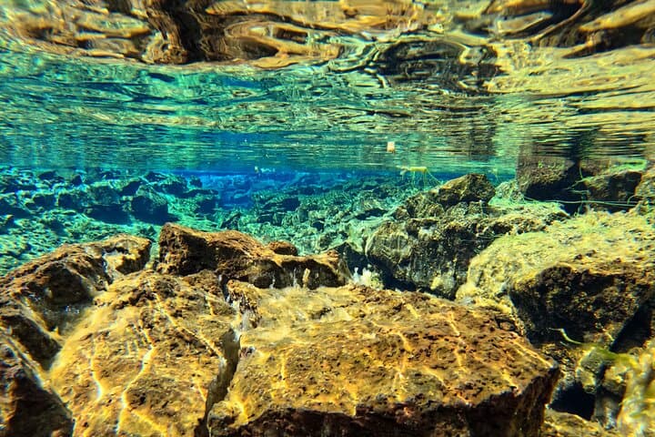 Silfra Snorkeling from Reykjavik — Snorkel Between Tectonic Plates photo 6