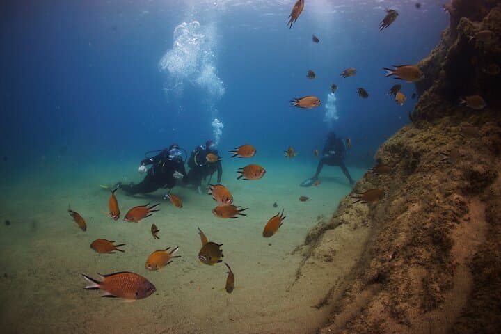 Beginner Scuba Dive at Playa Chica, Lanzarote — Guided Try-Dive in a Protected Bay photo 3