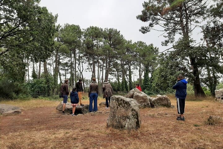 Menhir Secrets: Half-Day Circuit Through Carnac's Megaliths photo 4