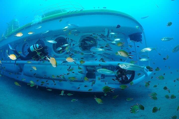 Tenerife Submarine Tour: 1-Hour Dive to the Atlantic Seabed photo 3