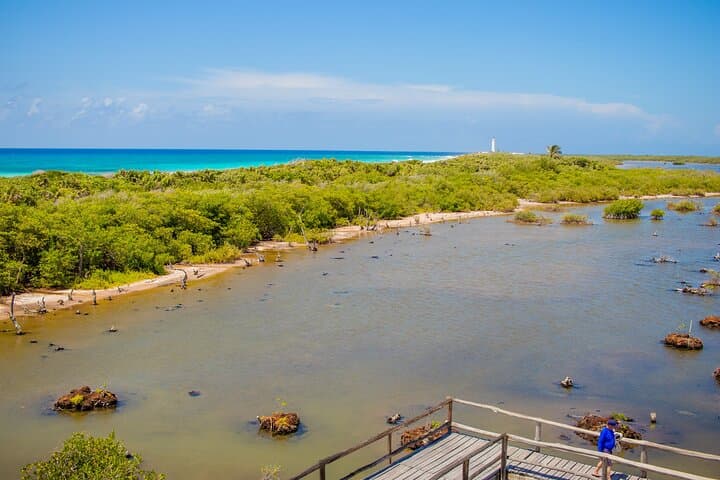 Private Buggy Tour to Punta Sur Park with Snorkeling & Tequila Tasting — Cozumel photo 4
