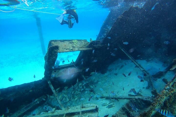 Advanced Reef and Sunken Ship Snorkeling in Cancun — Mayan Reef Small-Group Tour photo 2