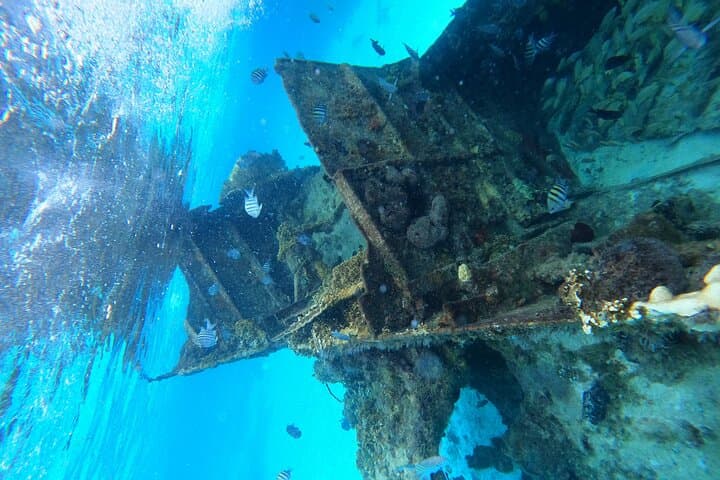 Advanced Reef and Sunken Ship Snorkeling in Cancun — Mayan Reef Small-Group Tour photo 3