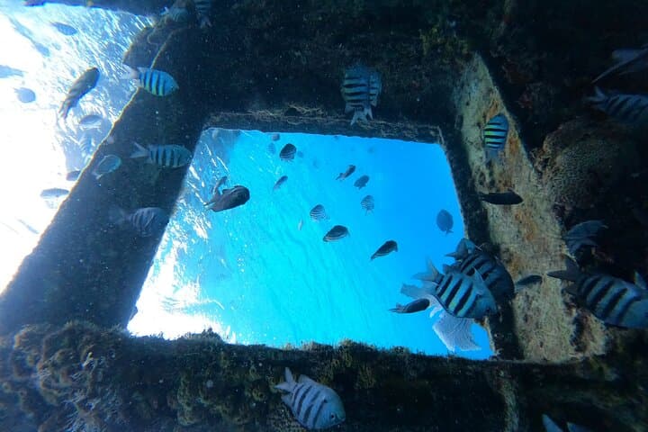 Advanced Reef and Sunken Ship Snorkeling in Cancun — Mayan Reef Small-Group Tour photo 4