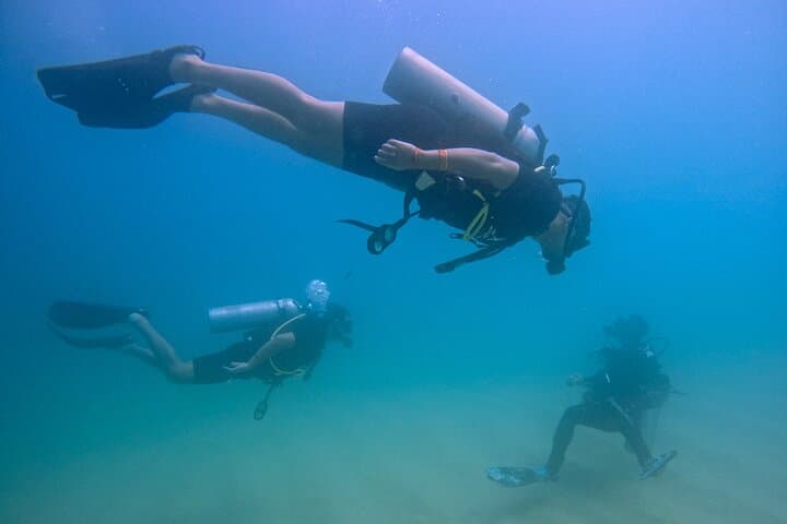 Beginner Scuba Dive in Cabo San Lucas Bay: Sea of Cortez Intro Dive
