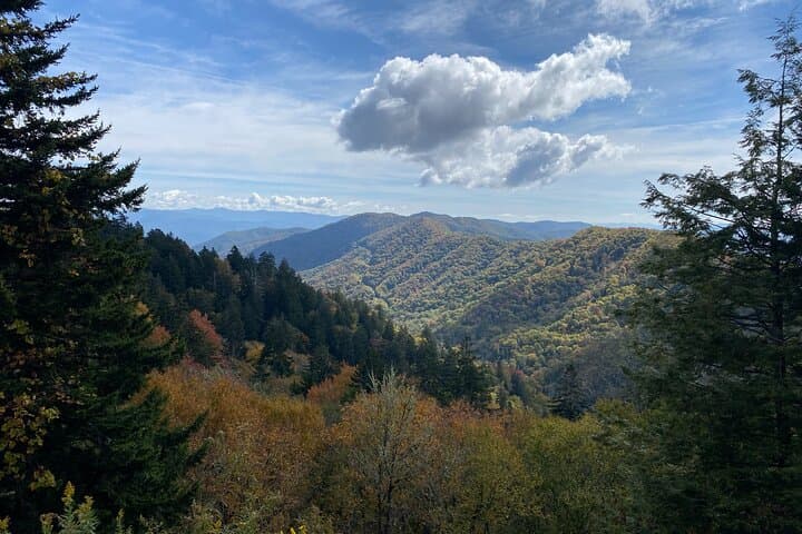 Over the Top Tour: Scenic Drive and Oconaluftee Valley Elk Viewing in the Great Smoky Mountains photo 4