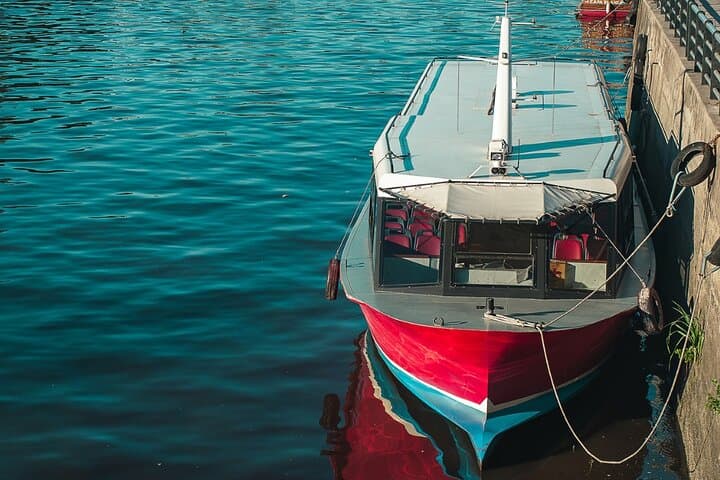 Explore Tigre and the Paraná Delta: Day Trip from Buenos Aires photo 6
