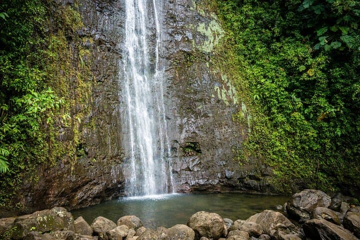 Waikiki Electric Bike Tour to Manoa Falls: Self-Guided E-Bike & Short Hike