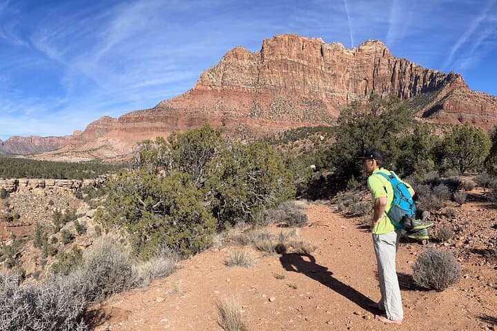 Quiet Among Pines: Guided Mountain Meditation at Little Dell, Utah photo 6