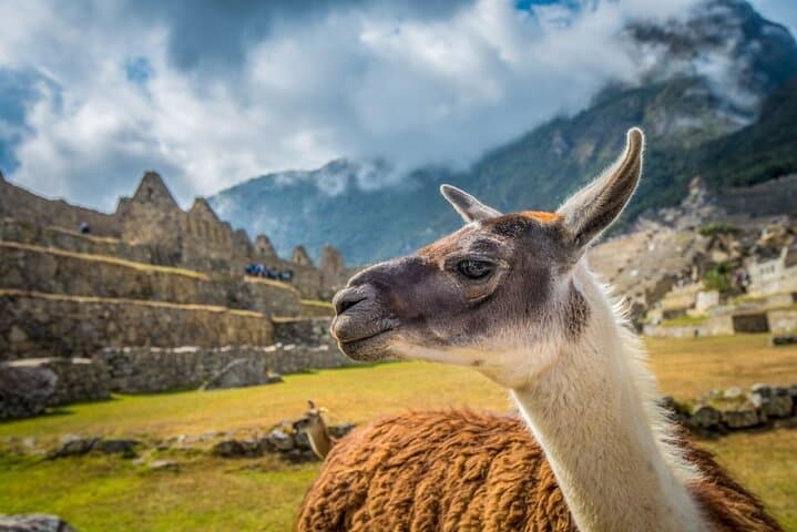 Short Inca Trail (2-Day): Sun Gate, Inti Punku & Machu Picchu Highlights
