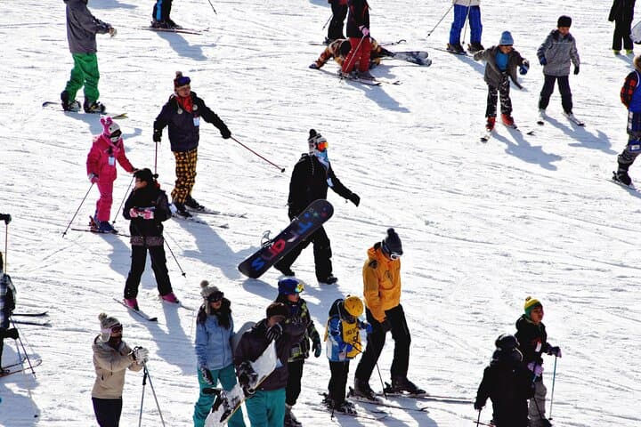 Eden Valley Ski Day from Busan — Beginner Slopes, Lessons & Sledding photo 5