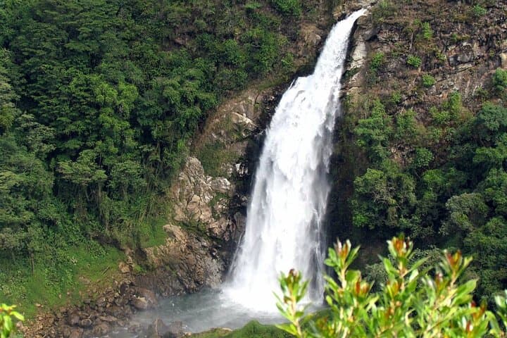 La Ceja Waterfall Adventure: Day Trip with Zipline & Via Ferrata from Medellin