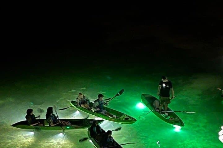Clearwater LED Glass-Bottom Kayak Night Tour: Fish-Feeding Adventure Under the Stars photo 3