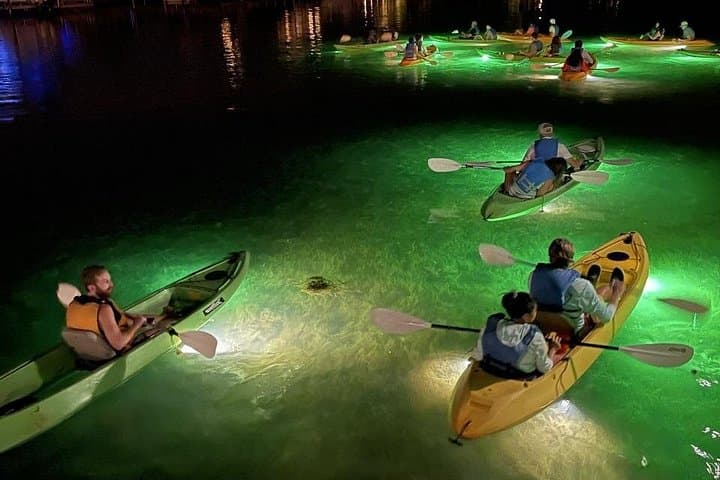 Clearwater LED Glass-Bottom Kayak Night Tour: Fish-Feeding Adventure Under the Stars photo 1