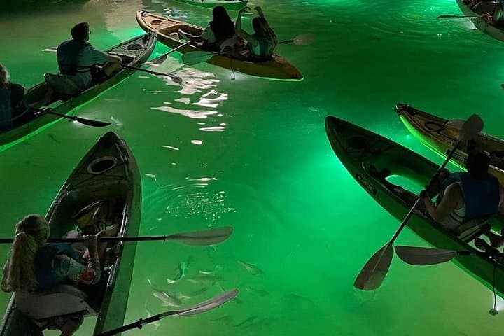 Clearwater LED Glass-Bottom Kayak Night Tour: Fish-Feeding Adventure Under the Stars photo 2