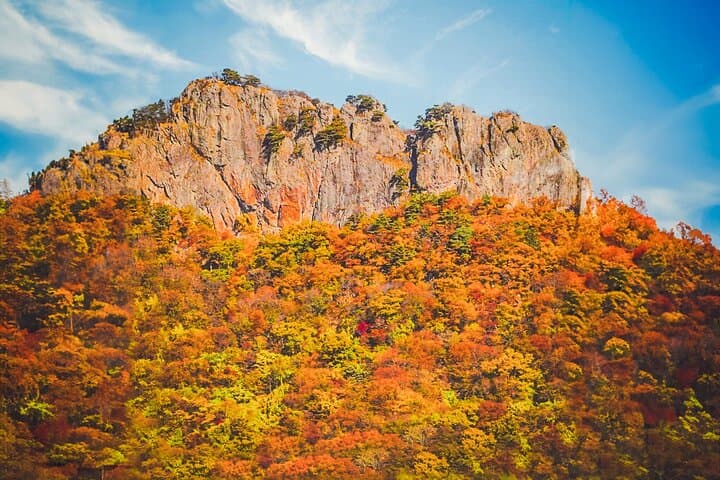 Naejangsan Fall Foliage Day Trip from Seoul (Busan Drop-off Option)