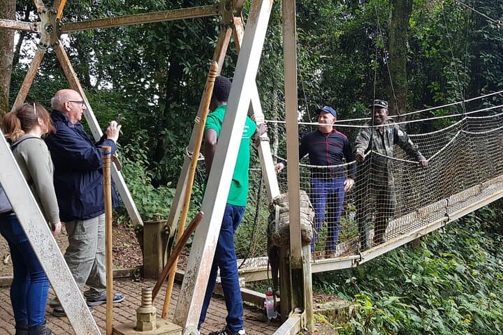 Nyungwe Canopy Walk: One-Day Shared Tour from Kigali photo 4