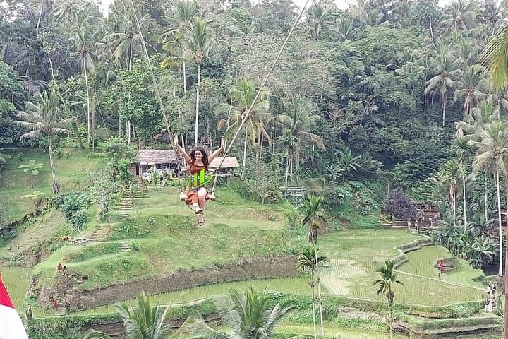 Full-Day Mount Batur & Ubud Tour — Monkey Forest, Rice Terraces, Tirta Empul & Spa photo 2