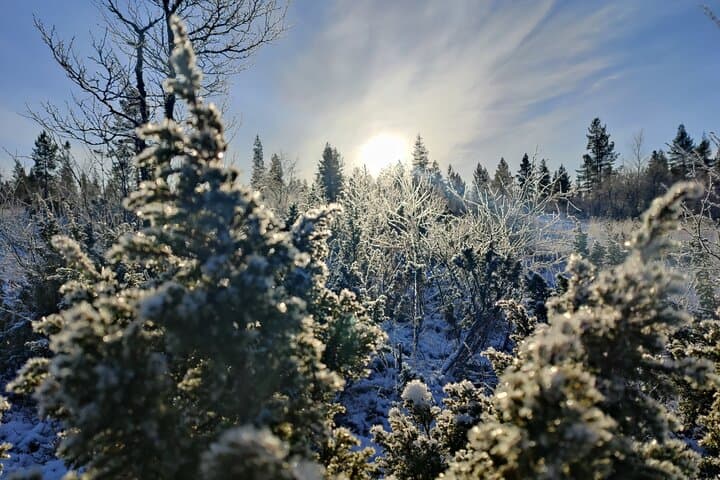 Electric Snow Scooters Tour in Ivalo — 2-Hour Arctic Ride photo 5