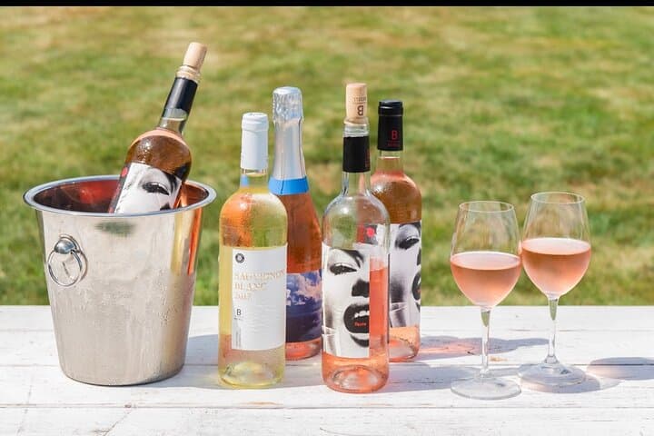 Luxury Long Island Private Winery Tour from NYC — North Fork & Hamptons photo 5